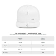 Brisbane Icons Flat Bill Snapback Hat
